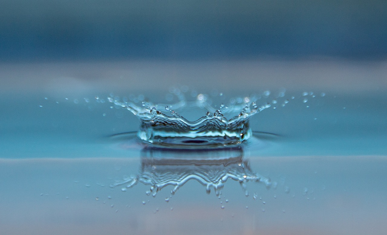 Conférence à la médiathèque- La gestion de l’eau en Gironde